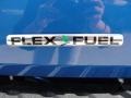 2011 Blue Flame Metallic Ford F150 XLT SuperCrew 4x4  photo #19