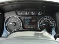 Steel Gray Gauges Photo for 2011 Ford F150 #45326987