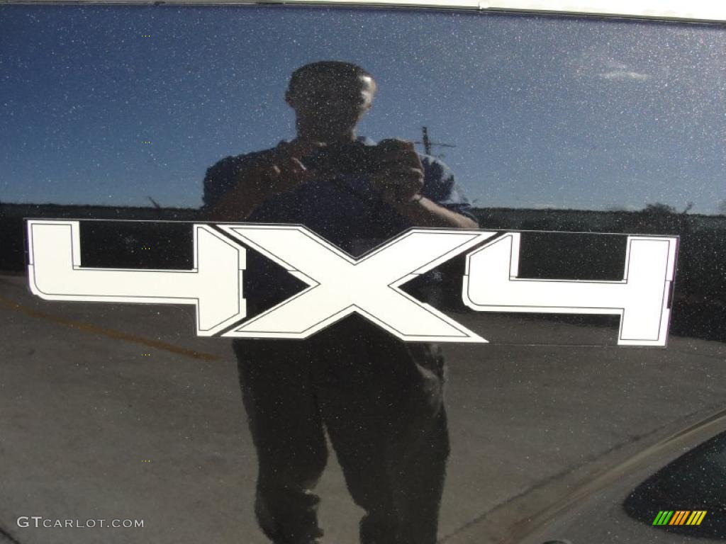 2010 F150 King Ranch SuperCrew 4x4 - Tuxedo Black / Chapparal Leather photo #22