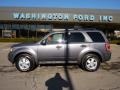 2010 Sterling Grey Metallic Ford Escape XLT 4WD  photo #1