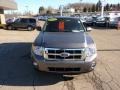 2010 Sterling Grey Metallic Ford Escape XLT 4WD  photo #6