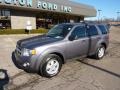 2010 Sterling Grey Metallic Ford Escape XLT 4WD  photo #7