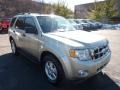 Gold Leaf Metallic - Escape XLT V6 4WD Photo No. 1