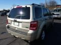 2011 Gold Leaf Metallic Ford Escape XLT V6 4WD  photo #2