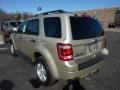 Gold Leaf Metallic - Escape XLT V6 4WD Photo No. 4