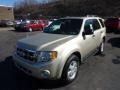 Gold Leaf Metallic - Escape XLT V6 4WD Photo No. 5