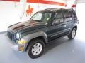 Deep Beryl Green Pearl 2005 Jeep Liberty Sport