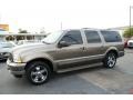 2002 Mineral Gray Metallic Ford Excursion Limited  photo #2