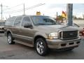 2002 Mineral Gray Metallic Ford Excursion Limited  photo #6