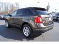 Earth Metallic - Edge SEL AWD Photo No. 43