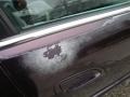 1998 Black Currant Pearl Honda Accord EX Sedan  photo #32