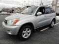 Titanium Metallic - RAV4 4WD Photo No. 1