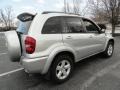 Titanium Metallic - RAV4 4WD Photo No. 6