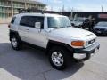 Titanium Metallic - FJ Cruiser 4WD Photo No. 6