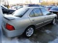 Bronze Shimmer - Sentra 1.8 Photo No. 4