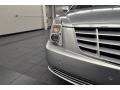 Radiant Silver Metallic - DTS Premium Photo No. 36