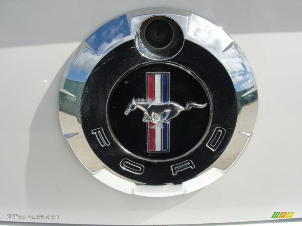 2006 Mustang V6 Premium Convertible - Performance White / Light Graphite photo #26
