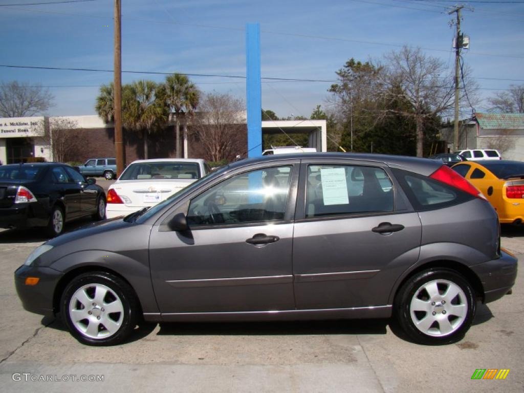 Liquid Grey Metallic 2002 Ford Focus ZX5 Hatchback Exterior Photo #45384410
