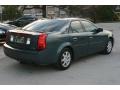 Stealth Gray - CTS Sedan Photo No. 12