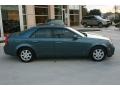Stealth Gray - CTS Sedan Photo No. 13