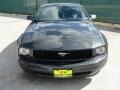 2007 Alloy Metallic Ford Mustang V6 Deluxe Coupe  photo #8