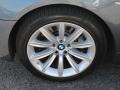 2008 Michigan Blue Metallic BMW 7 Series 750Li Sedan  photo #17