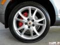 Titanium Metallic - Cayenne Turbo Photo No. 23