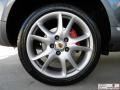 Titanium Metallic - Cayenne Turbo Photo No. 34
