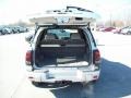 Moondust Metallic - TrailBlazer LS 4x4 Photo No. 13