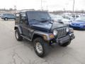 2004 Patriot Blue Pearl Jeep Wrangler X 4x4  photo #9