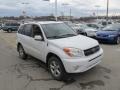 Super White - RAV4 4WD Photo No. 7