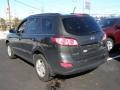 2010 Black Forest Green Metallic Hyundai Santa Fe GLS  photo #5