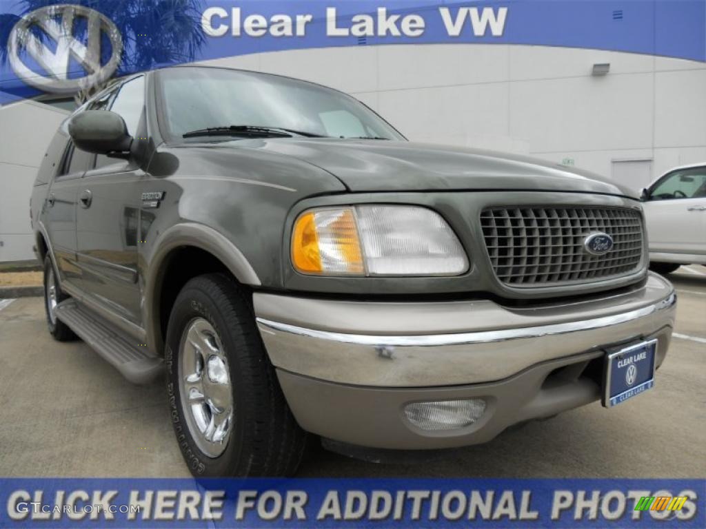 2000 Expedition Eddie Bauer - Estate Green Metallic / Medium Parchment photo #1