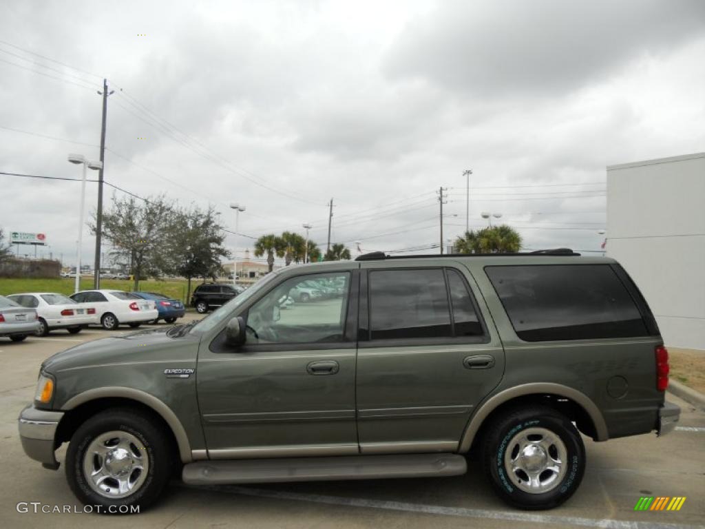 Estate Green Metallic 2000 Ford Expedition Eddie Bauer Exterior Photo #45416468