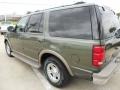 2000 Estate Green Metallic Ford Expedition Eddie Bauer  photo #5