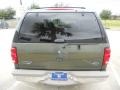 2000 Estate Green Metallic Ford Expedition Eddie Bauer  photo #6