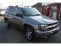 Graystone Metallic - TrailBlazer LS 4x4 Photo No. 1