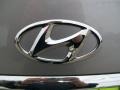 2011 Titanium Gray Metallic Hyundai Genesis 3.8 Sedan  photo #15
