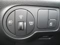Saddle Leather Controls Photo for 2011 Hyundai Veracruz #45427795