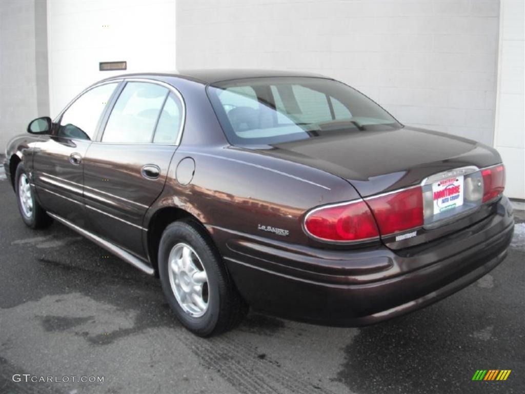 2001 LeSabre Custom - Dark Chestnut / Medium Gray photo #6