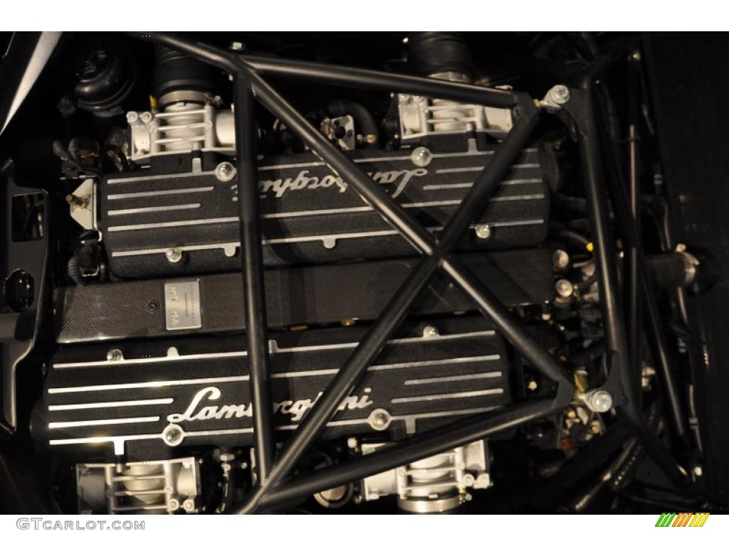 2006 Lamborghini Murcielago Roadster 6.2 Liter DOHC 48-Valve VVT V12 Engine Photo #45444599