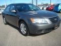 Willow Gray - Sonata GLS Photo No. 7