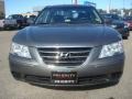 Willow Gray - Sonata GLS Photo No. 8