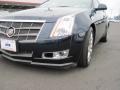 Blue Chip - CTS Sedan Photo No. 9