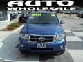 2010 Sport Blue Metallic Ford Escape XLT  photo #2