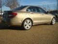 2008 Sand Beige Metallic Mercedes-Benz C 300 Luxury  photo #4