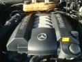 5.0 Liter SOHC 24-Valve V8 Engine for 2002 Mercedes-Benz ML 500 4Matic #45470176