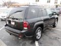 2008 Black Granite Metallic Chevrolet TrailBlazer LS 4x4  photo #4