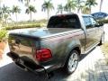 Dark Shadow Grey Metallic - F150 Harley-Davidson SuperCrew Photo No. 6