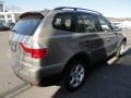 Platinum Bronze Metallic - X3 3.0si Photo No. 6